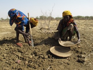 La malnutrition a un impact alarmant sur l’économie tchadienne, selon une étude de l’ONU