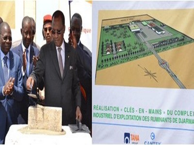 Tchad : 7 milliards de la BDEAC pour le complexe industriel de Djermaya