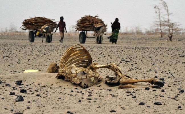 Les damnés de la terre: 2018, l’année de tous les dangers au Tchad, une vague de forte chaleur s’invite pour mettre à rude épreuve nos corps affamés