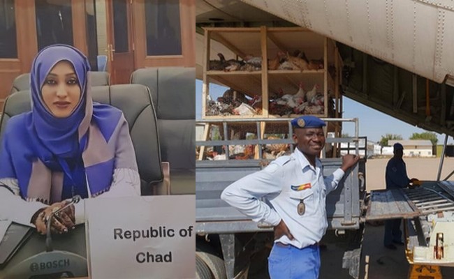 Tchad: quand 3 000 poules débarquées d’un avion à Faya-Largeau font le buzz sur les réseaux sociaux