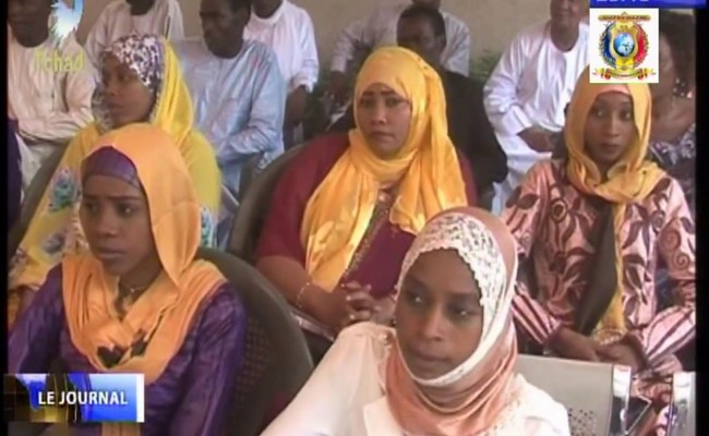 Tchad: 36 jeunes reçoivent des financements de l’ONAJES